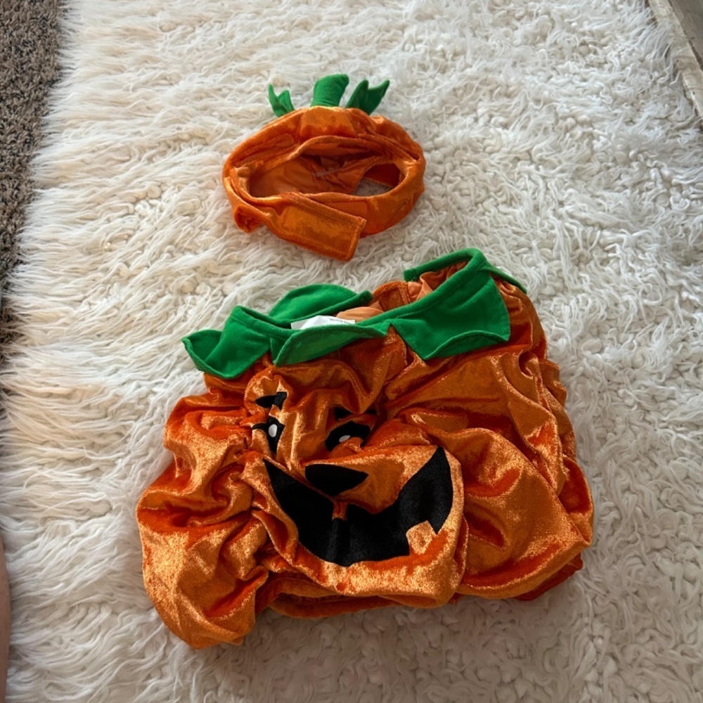Clearance Petco DC Pumpkin pet costume small Halloween fall dog